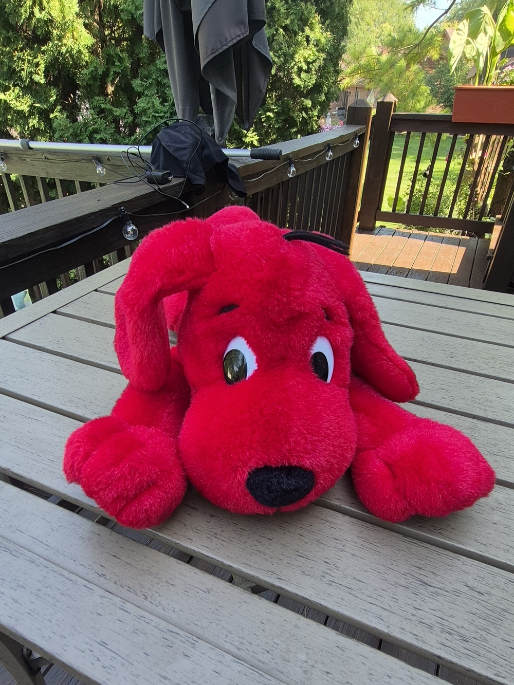 Scholastic Bright Red Plush Puppy